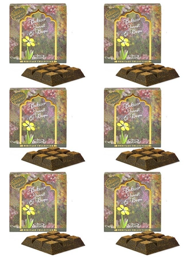 Nabeel 6 Pcs Bakhoor Jannet El Baqui 40 GM Luxurious Arabic Oudh Incense for a Divine, Long-Lasting Fragrance Experience - Image 1